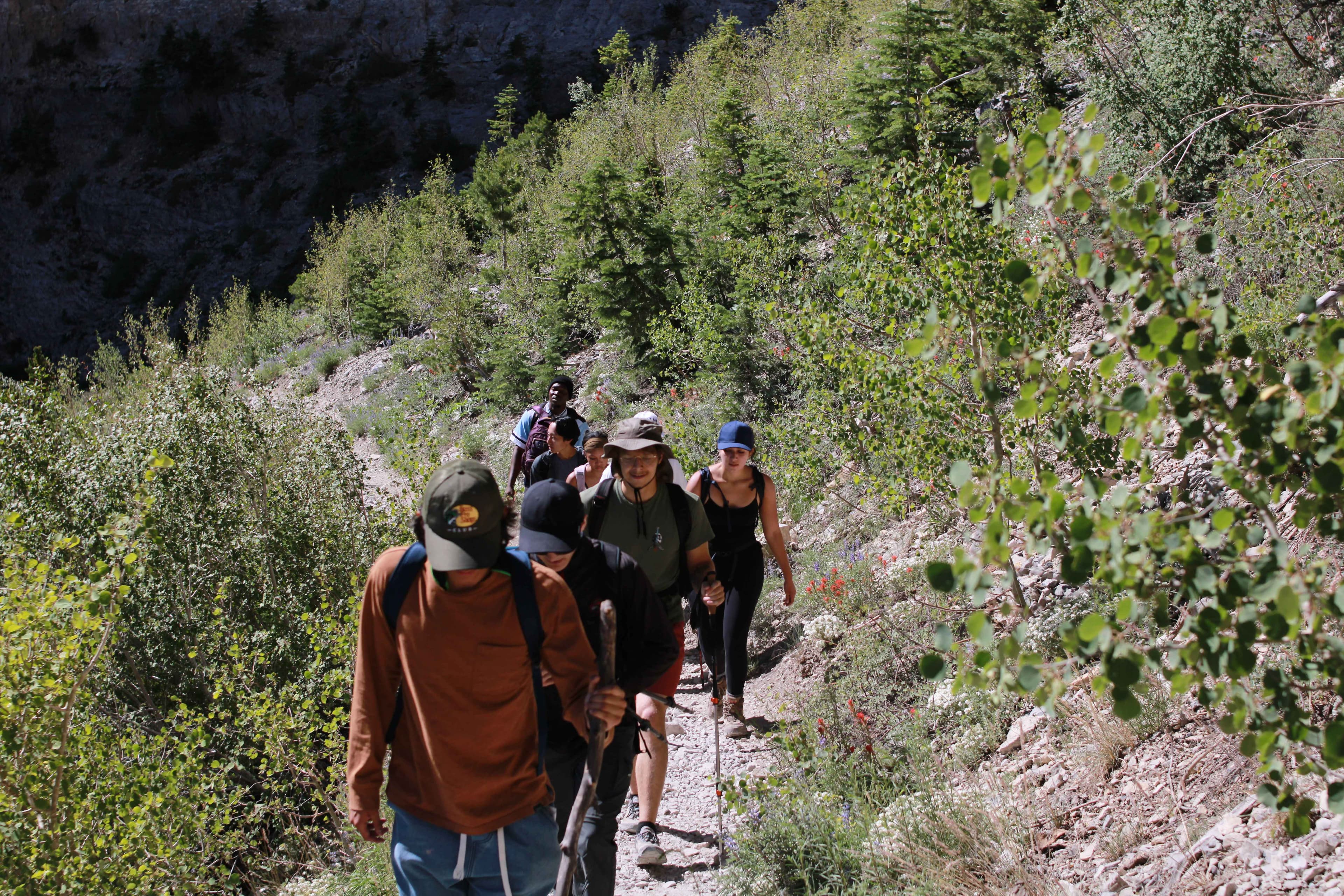 A group of hikers walks single file along a green canyon trail.