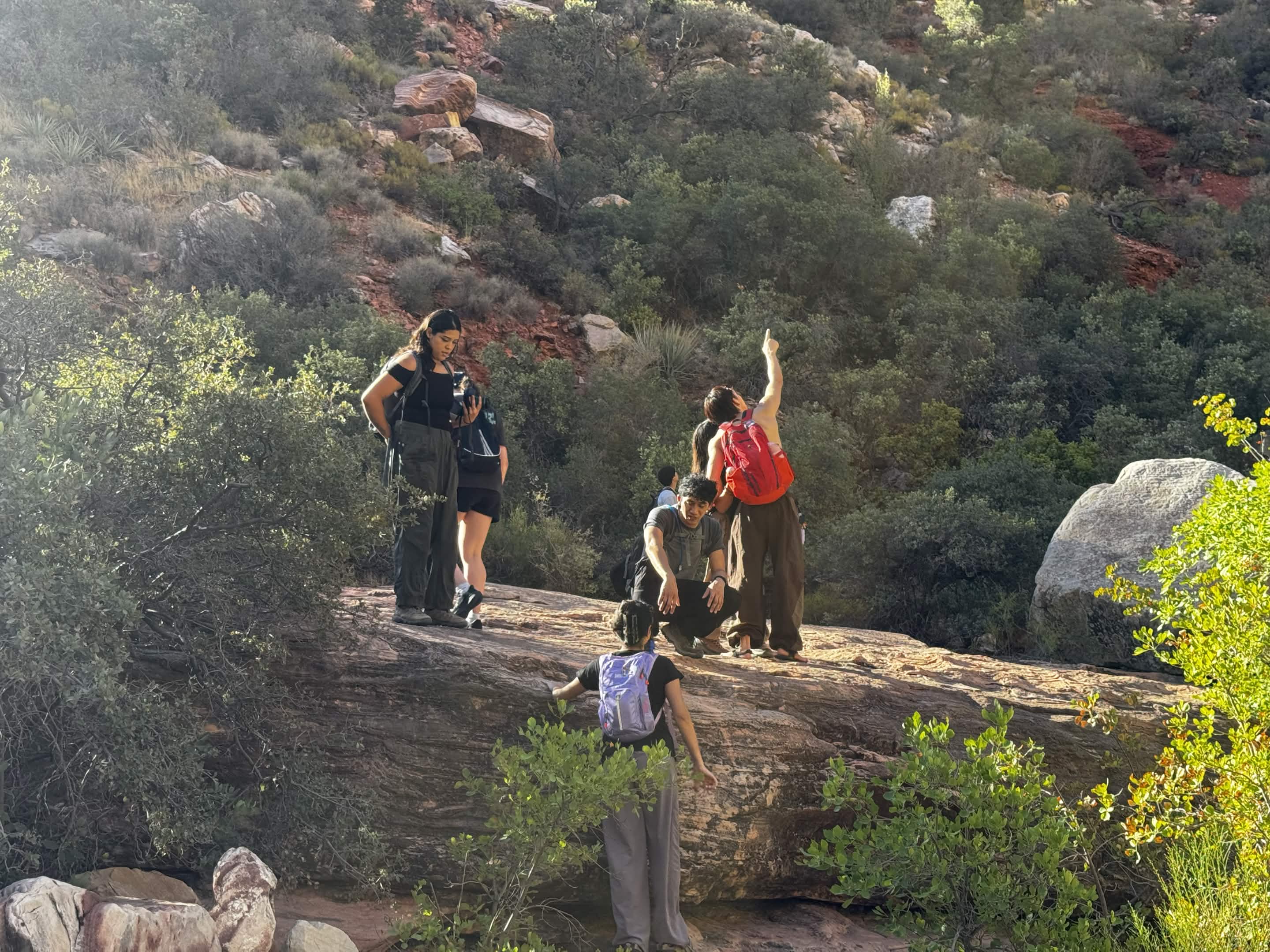 Hikers balance on a fallen log above a rocky forest trail.